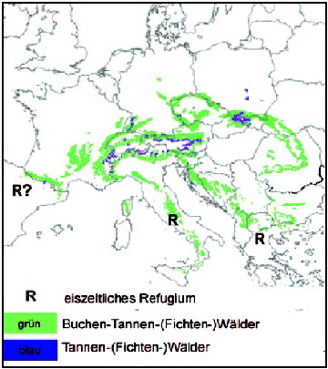 Natürliche Verbreitung tannenreicher Wälder in Europa Natürliche Verbreitung tannenreicher Wälder in Europa